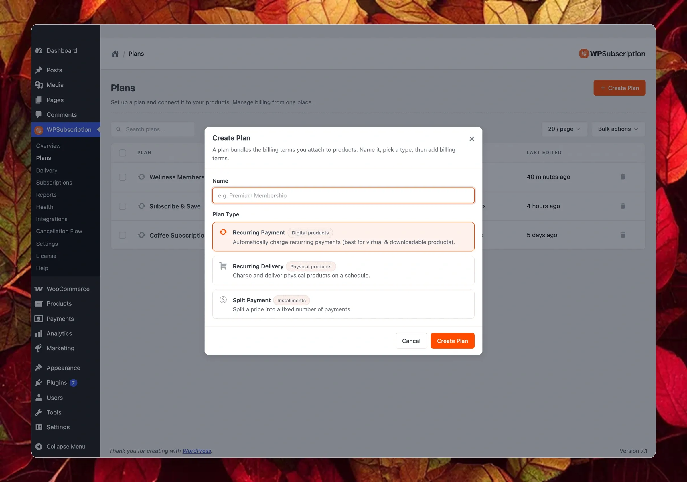 WPSubscription Plan Types Selection